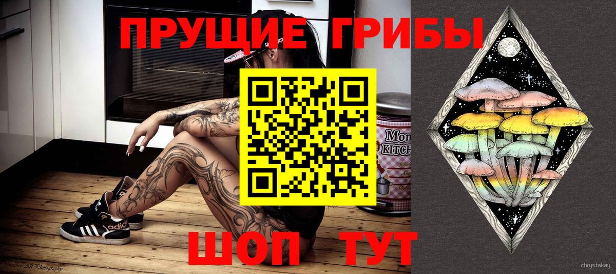 Мурманск  Псилоцибиновые грибы мицелий  Вход с VPN 
