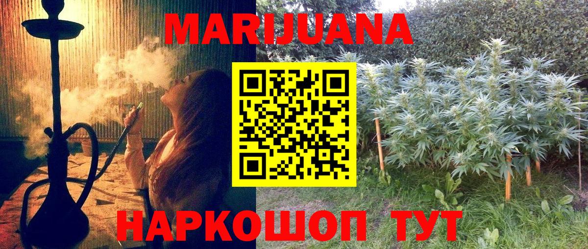 Канабис семена Мурманск